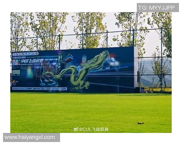 深圳飞盘队引领潮流最新飞盘配合TOP10精彩呈现