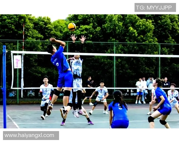 重庆排球队的奋斗与团结：探索排球运动的精神与意识