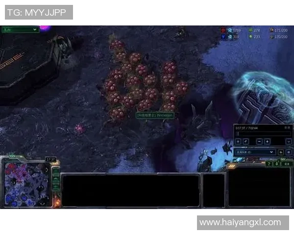 英雄联盟新手攻略全面解析耐力系统与实战技巧提升指南