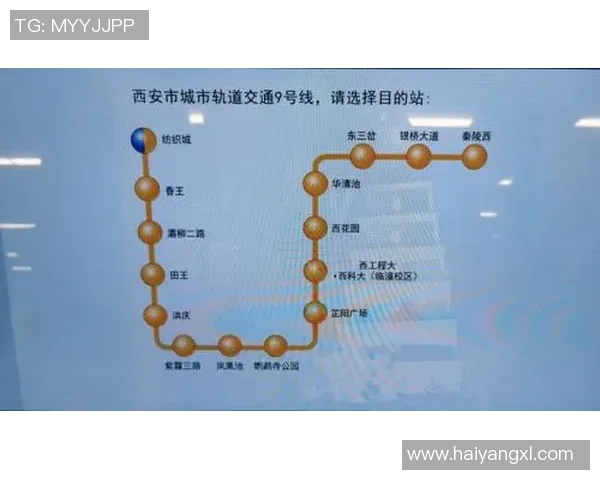 西安乒乓球队运营模式解析与发展前景探讨 西安乒乓球队运营模式解析与发展前景探讨